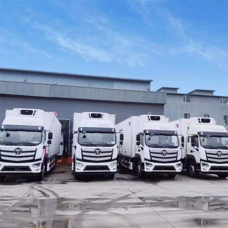 新安县新龙县进仓物流：多元专线直达运输探秘