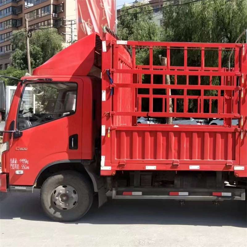 新安县雅安市物流专线：大件出口快运的多维探索